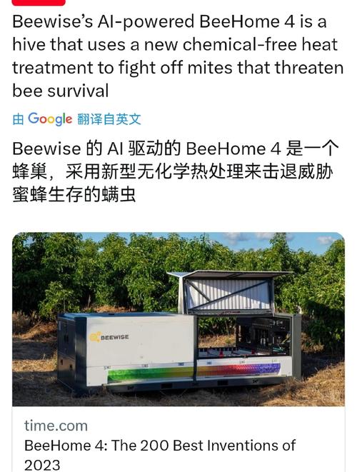 见